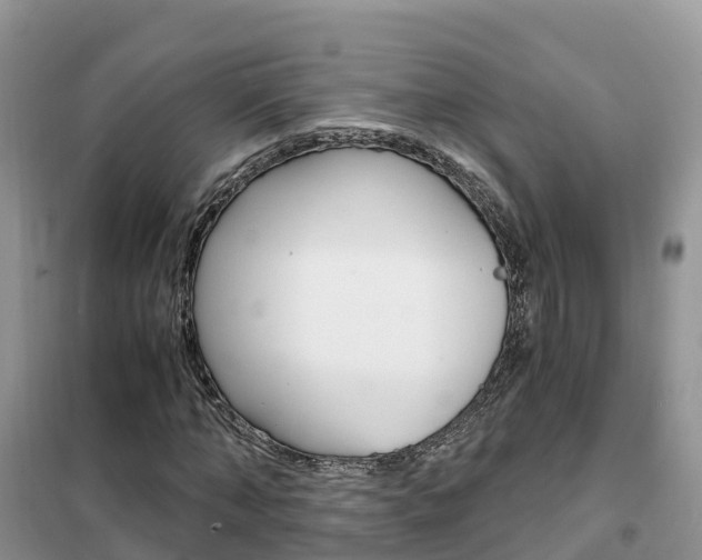 X0000102370870200808011021