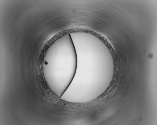 X0000102370871200808011021