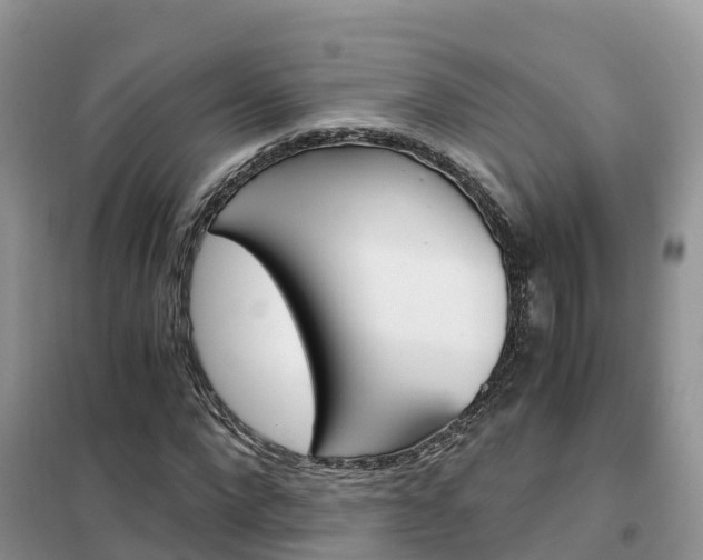X0000102370872200808011021