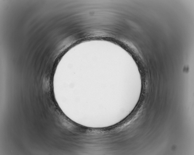 X0000102370873200808011021