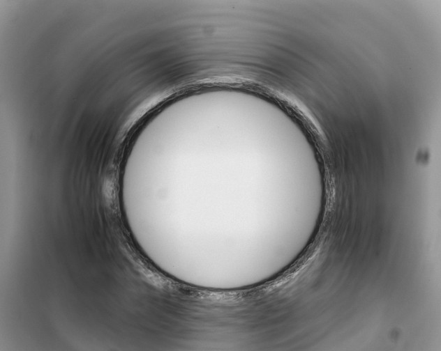 X0000102370874200808011021