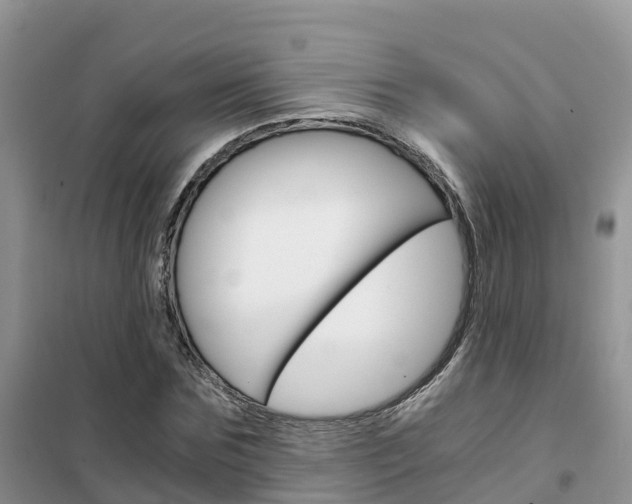 X0000102370875200808011021