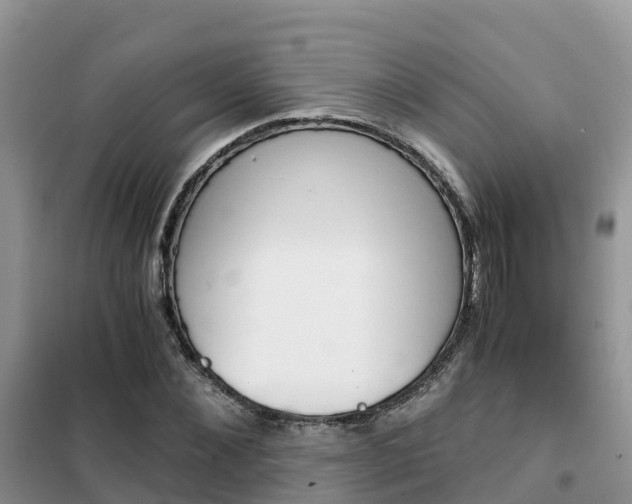 X0000102370876200808011021