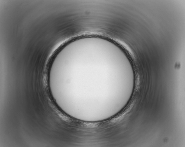 X0000102370878200808011021