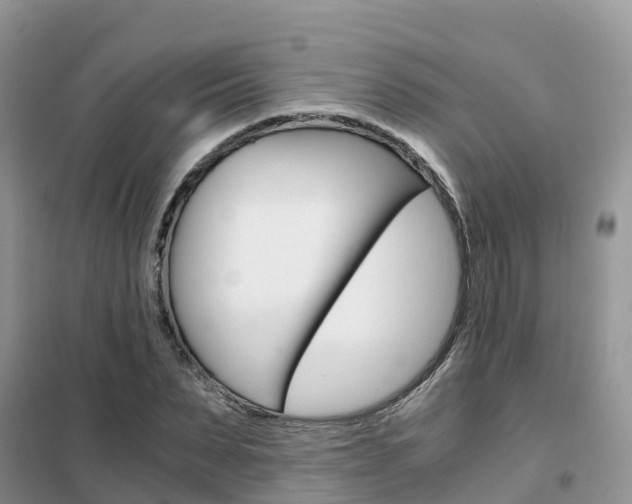 X0000102370879200808011021