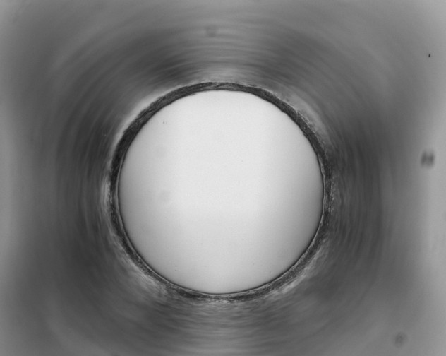 X0000102370880200808011021