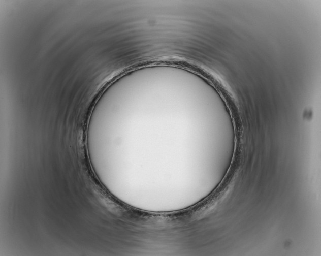 X0000102370881200808011021