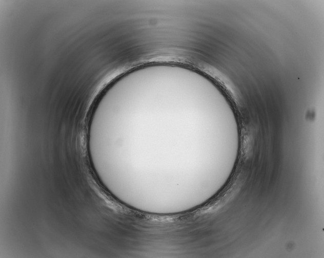 X0000102370882200808011021