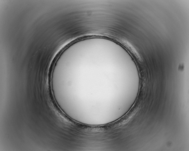 X0000102370884200808011021