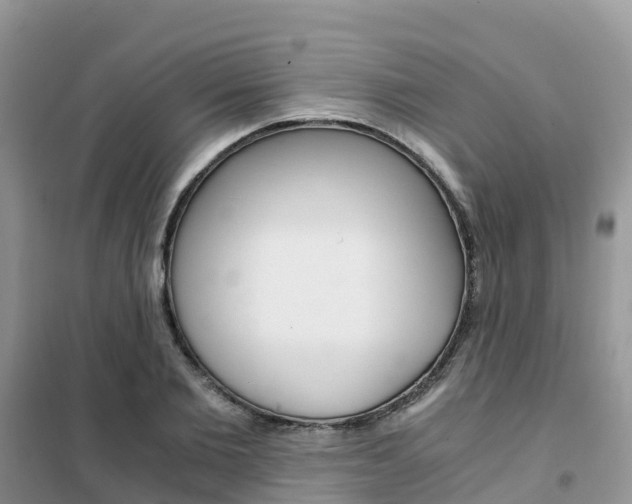 X0000102370885200808011021
