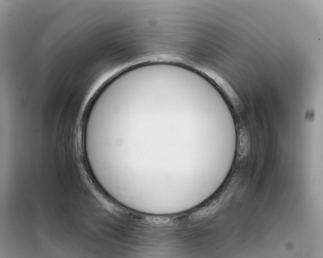 X0000102370886200808011021