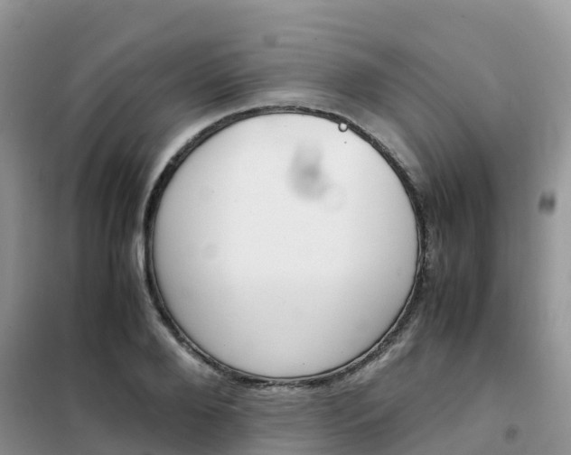 X0000102370888200808011021