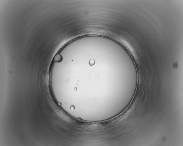X0000102370891200808011021