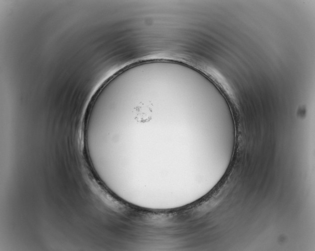 X0000102370892200808011021