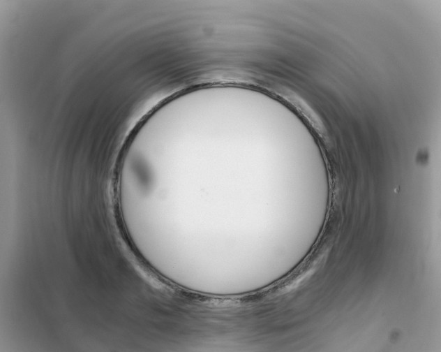 X0000102370893200808011021
