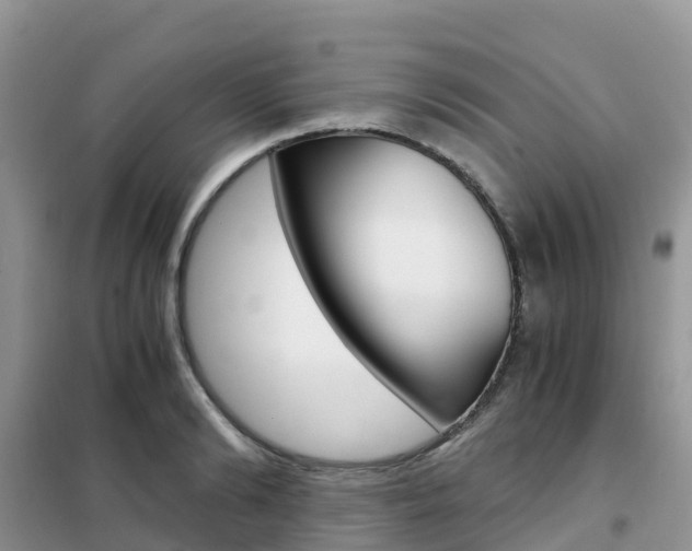 X0000102370894200808011021