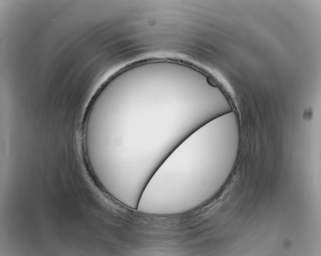 X0000102370895200808011021