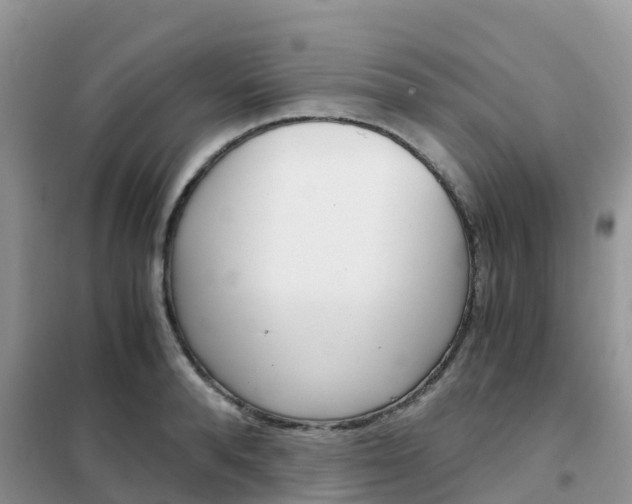 X0000102370896200808011021