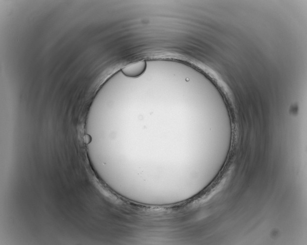 X0000102370897200808011021