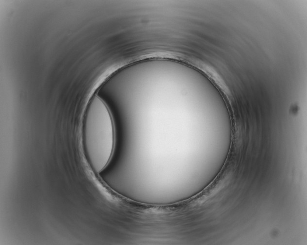 X0000102370898200808011021