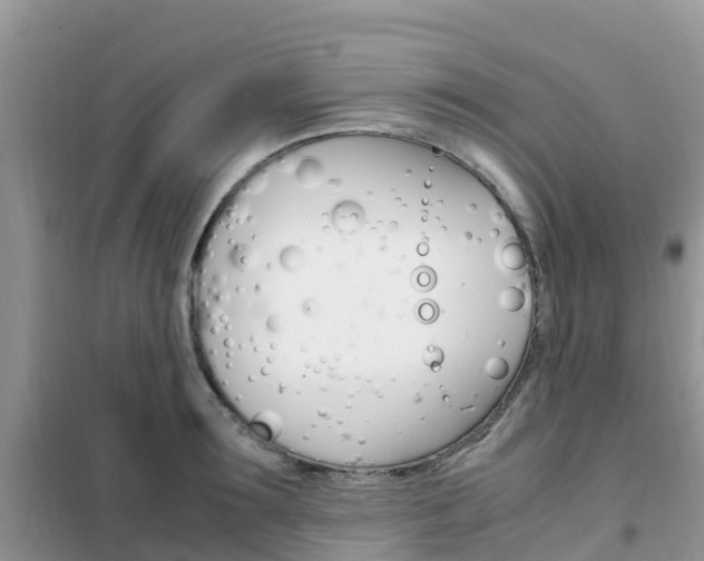 X0000102370899200808011021