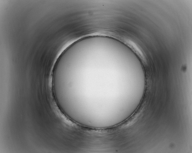 X0000102370900200808011021