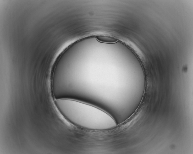 X0000102370902200808011021