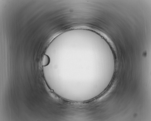 X0000102370905200808011021