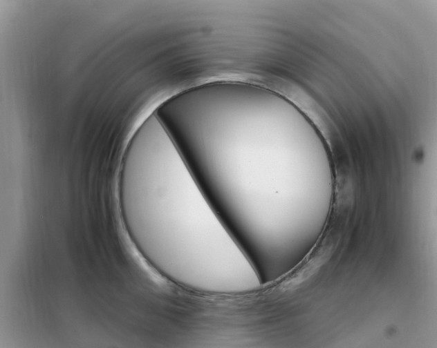 X0000102370906200808011021