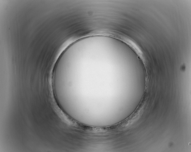 X0000102370907200808011021