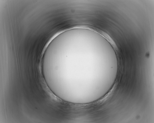 X0000102370908200808011021