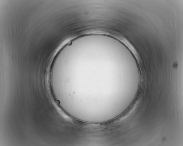 X0000102370909200808011021