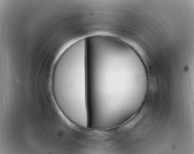 X0000102370910200808011021