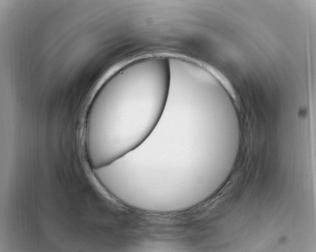 X0000102370911200808011021