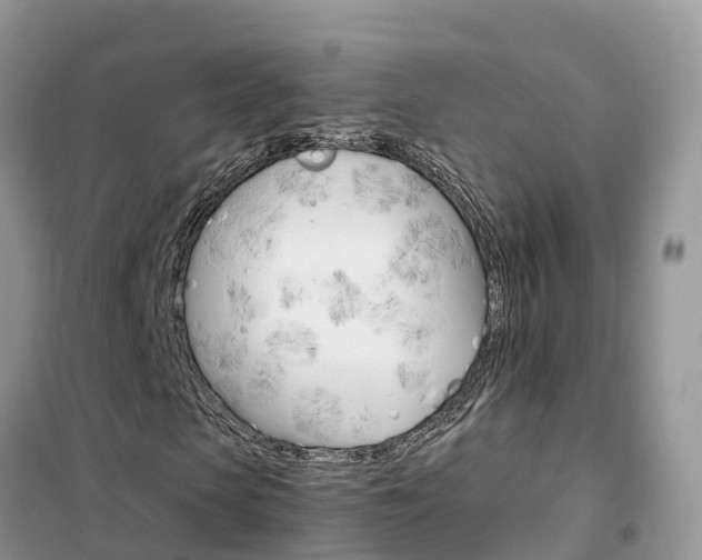 X0000102370913200808011020