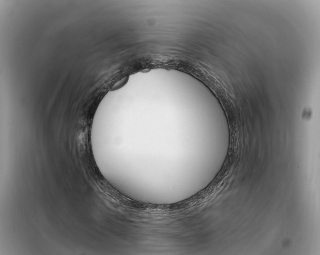 X0000102370914200808011020