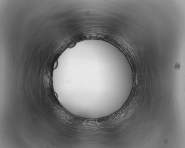 X0000102370915200808011020