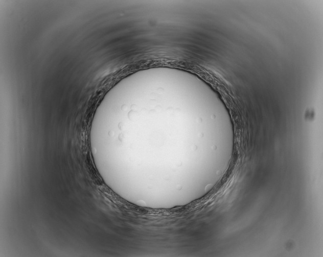 X0000102370917200808011020