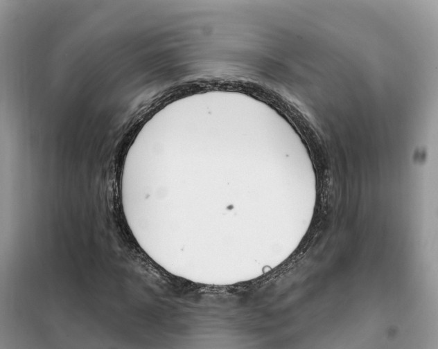 X0000102370918200808011020