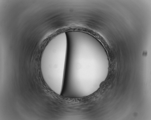 X0000102370919200808011020