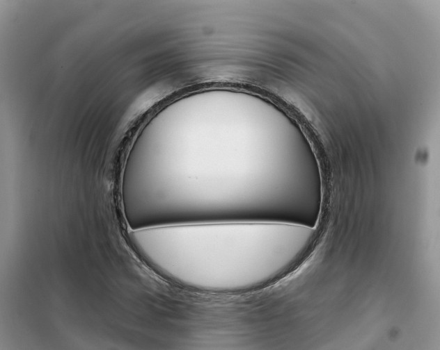 X0000102370922200808011020