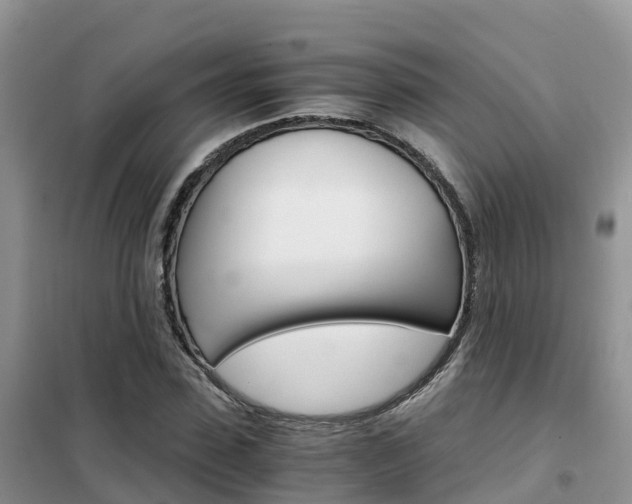 X0000102370923200808011020