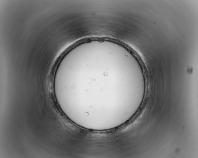 X0000102370925200808011020