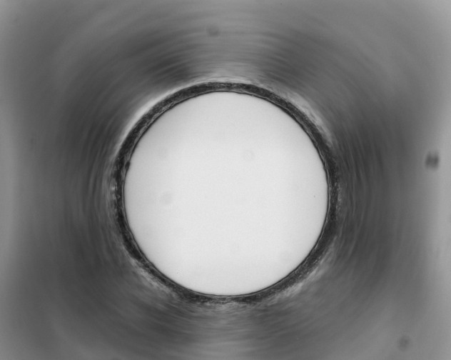 X0000102370926200808011020