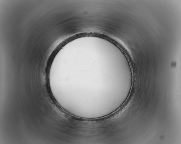 X0000102370927200808011020