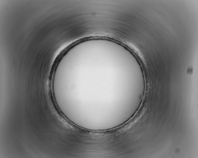 X0000102370928200808011020