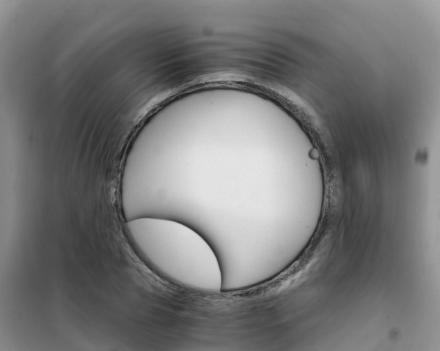 X0000102370929200808011020