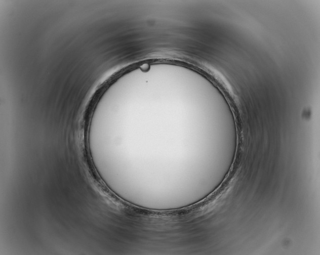X0000102370931200808011020