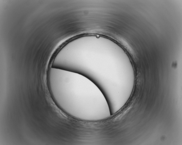 X0000102370932200808011020