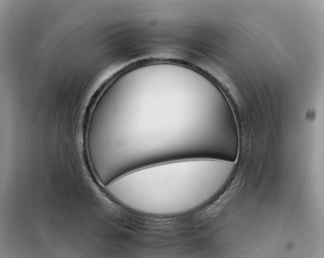 X0000102370935200808011020